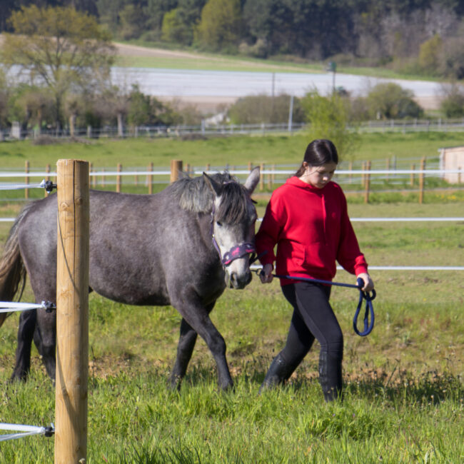 enfant poney